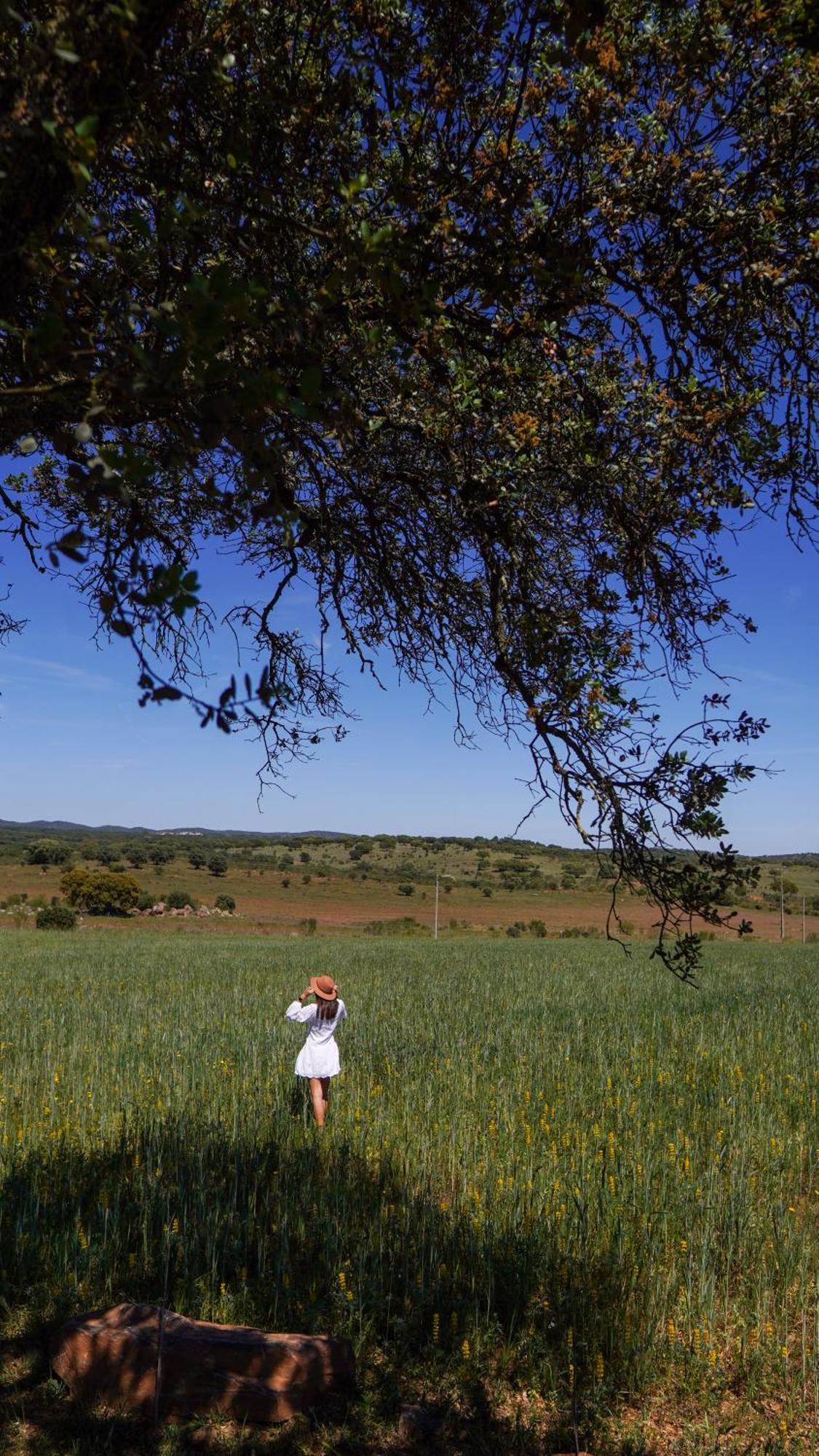 Montimerso Skyscape Countryhouse Monsaraz Exterior foto